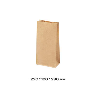 Пакет с прямоугольным дном 220*120*290 мм, крафт